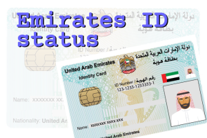 Read more about the article Check Emirates ID Status Online