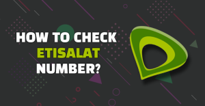 Read more about the article Check Etisalat Number