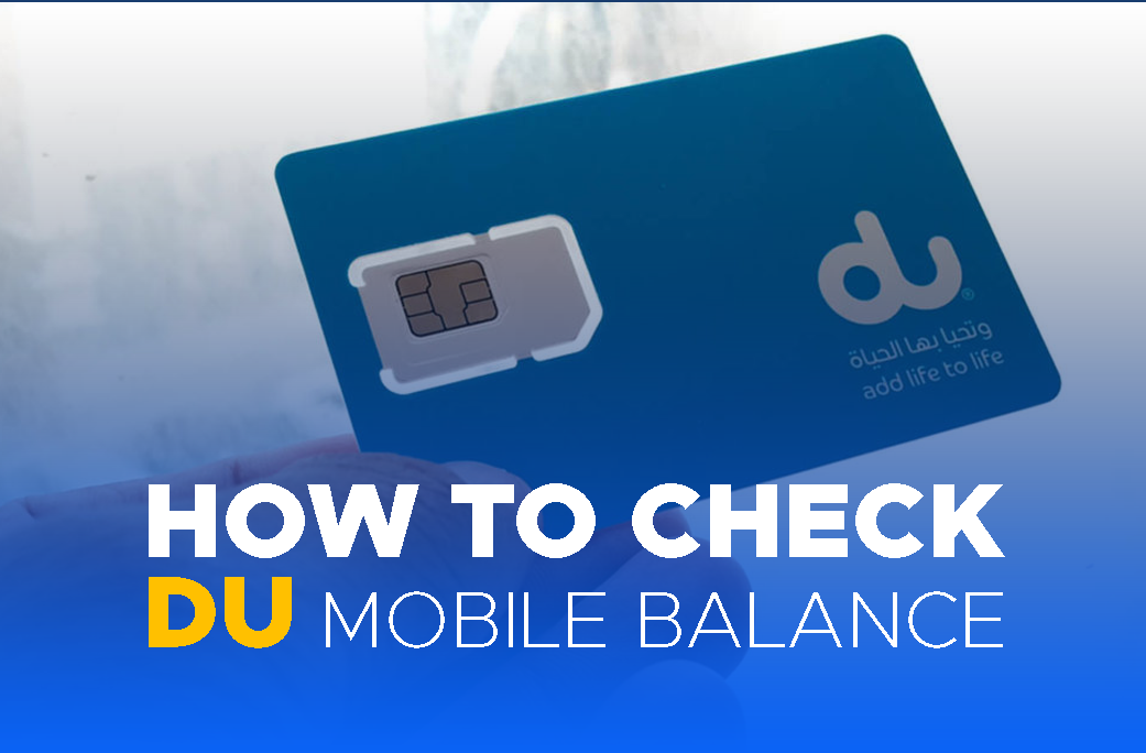 You are currently viewing Check DU Balance