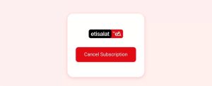 Read more about the article How to Cancel Etisalat Subscription in UAE