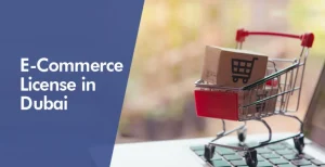 Read more about the article How to Open E-COMMERCE Business License in Dubai, UAE?